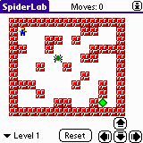 Spider Labyrinth