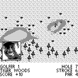 Tiger Woods PGA Tour Golf