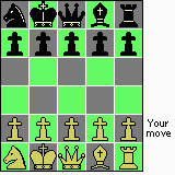 MicroChess