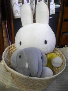 動物界の最強タッグ
